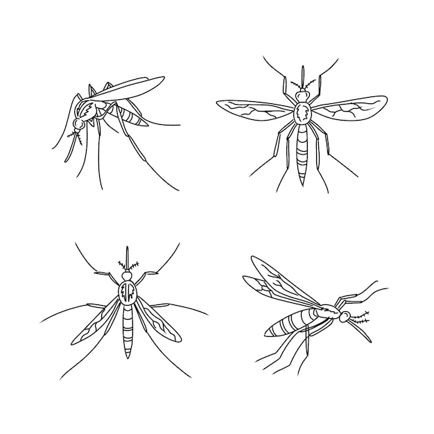 mosquito hand drawn doodle illustrations vector set