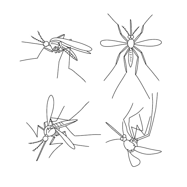 mosquito hand drawn doodle illustrations vector set