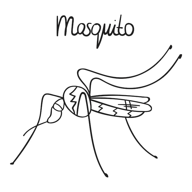 Mosquito. Outline illustration on white background.