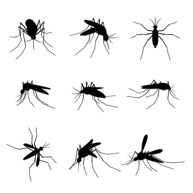 Mosquito silhouettes. Swarm flying insects, dangerous bite proboscis mosquitoes virus infection malaria, dengue, zika, black small gnats vector isolated set