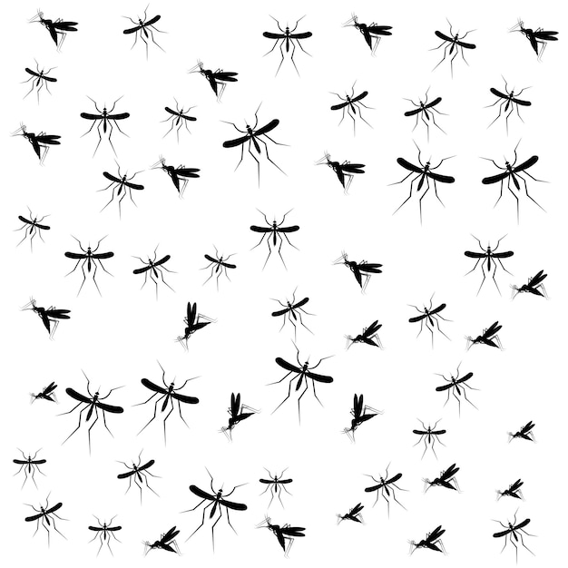 Mosquito vector iconillustration design