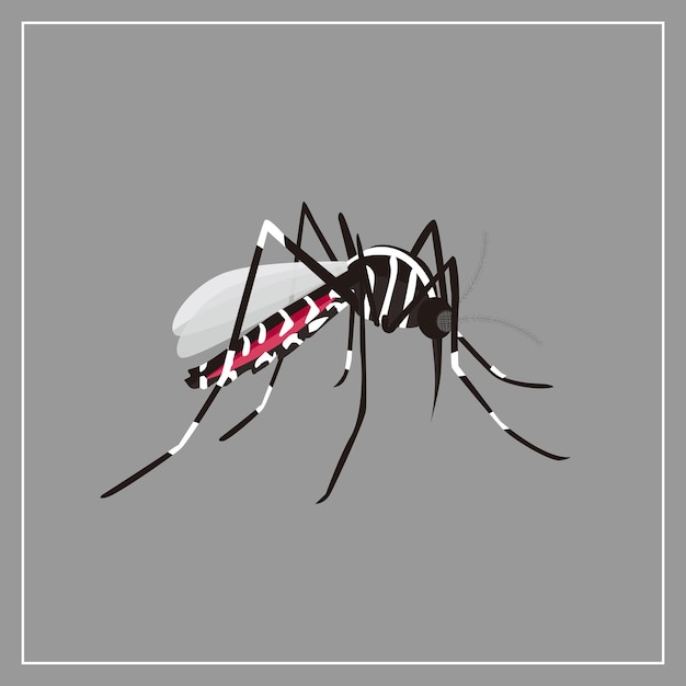 Vector mosquito vector ilustration