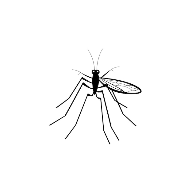 Vector mosquito vector