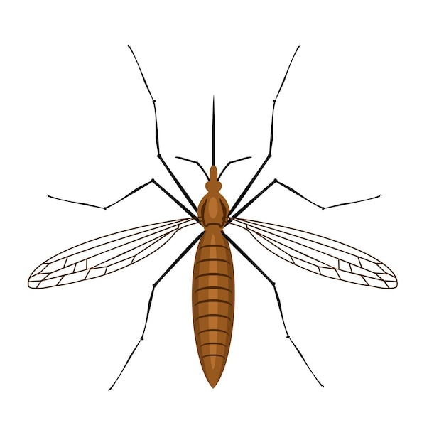 Vector mosquito vectorillustratie mosquito pictogram plat voor logo web app door muggen overgedragen ziekten dengue