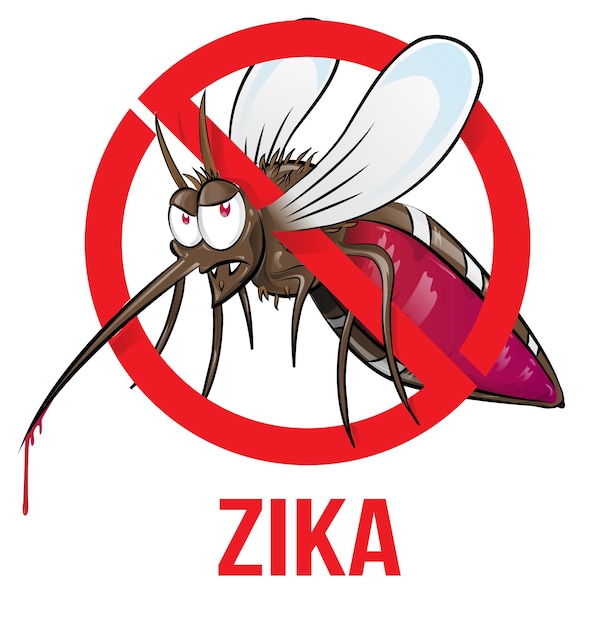 Vector mosquito zika vector illustration