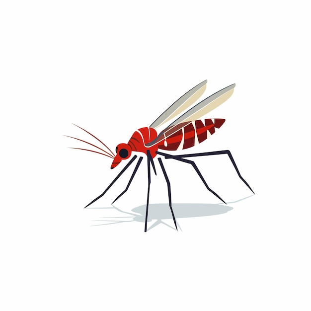 Vector mosquito