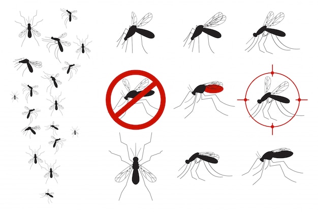 Mosquitoes and gnats vector set