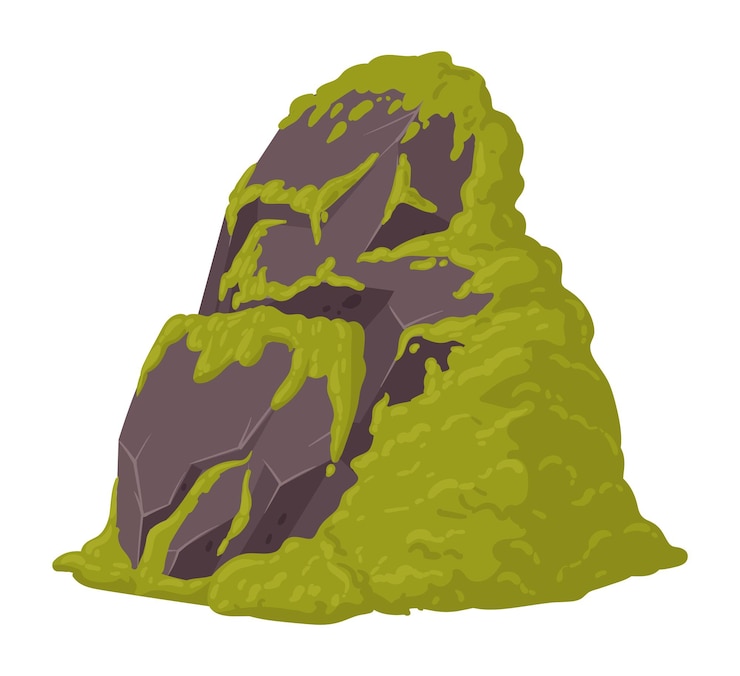 Vector moss plants grows on rock cartoon green creeping moss grows on stone moss on grey granite stone flat vector illustration