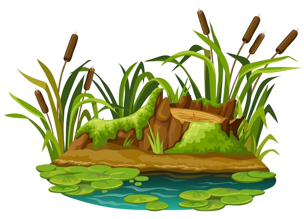 Vettore muschio sul moncone nella palude accedi di cartone animato nella giungla di palude