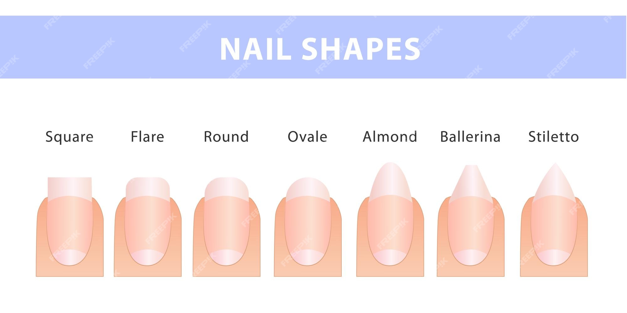 There are 7 different Nail Shapes, but Which Should You Choose? - nail ...