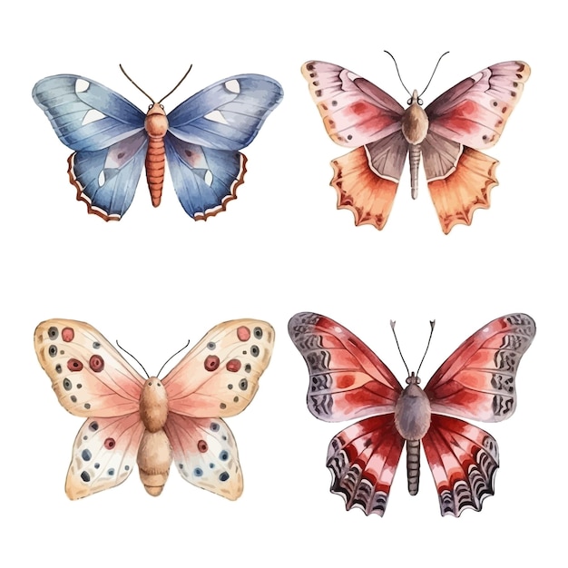 Moth and butterfly watercolor hand painted set of illustration