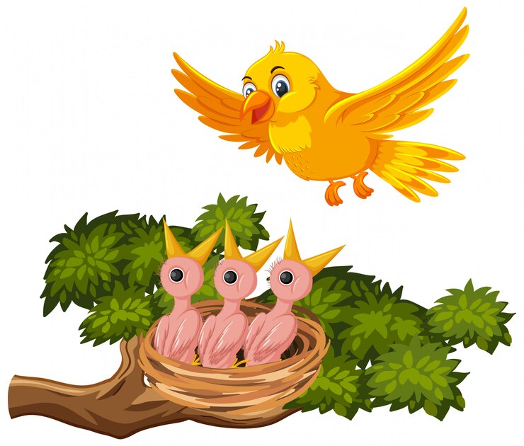 Vector mother bird feeding chicks