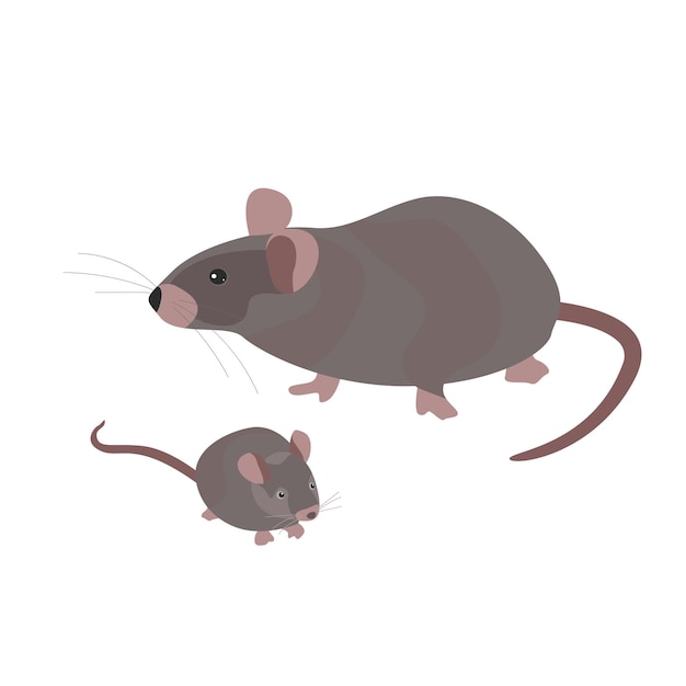 Mother and child mouse