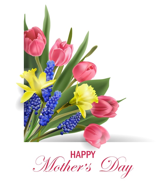 Mothers  day concept.   greeting card with blooming spring  flowers,  pink  tulips, narcissus . template vector.