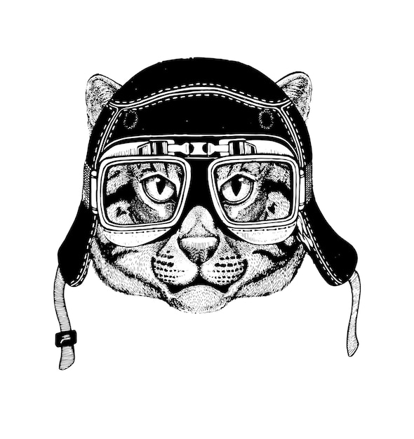 Vector motorcyclist cat with glasses