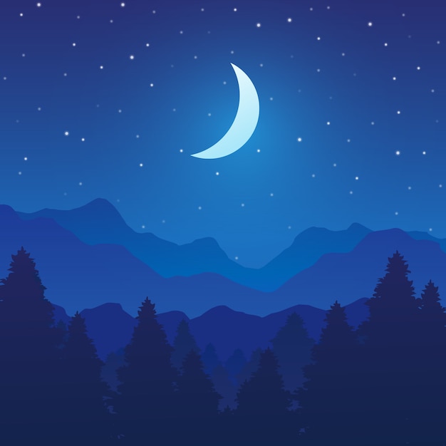 Vector mountain and forest landscape with trees on night