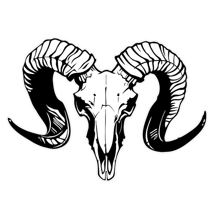 Vector mountain goat skull with black horns