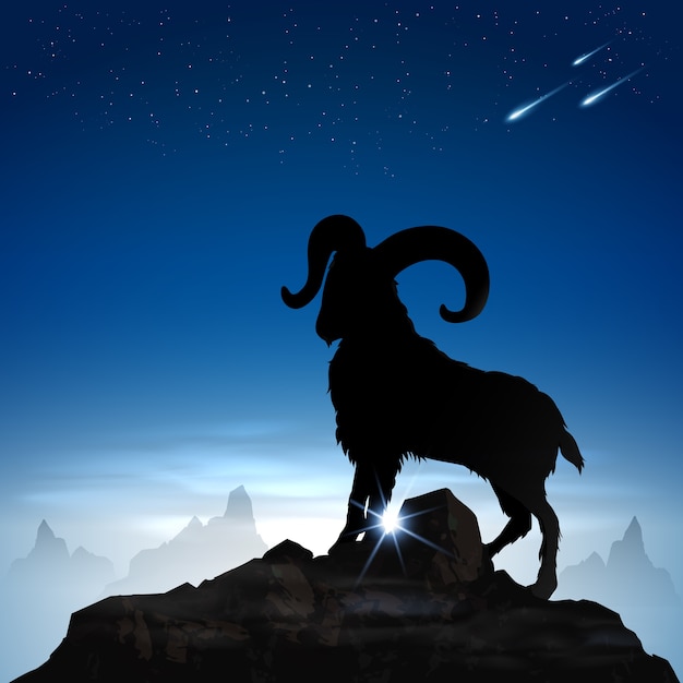 Vector mountain goat