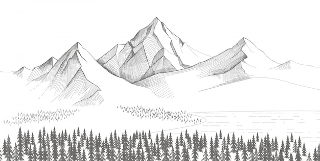 Vector mountain landscape, forest pine trees sketch. hand drawn illustration.