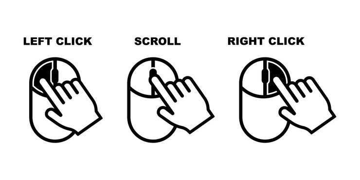 Vector 마우스를 왼쪽에서 오른쪽으로 클릭하고 스크롤  버튼을 사용해 마우스 터 아이콘을 설정합니다.