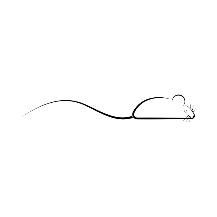 Vector mouse icon vector illustration