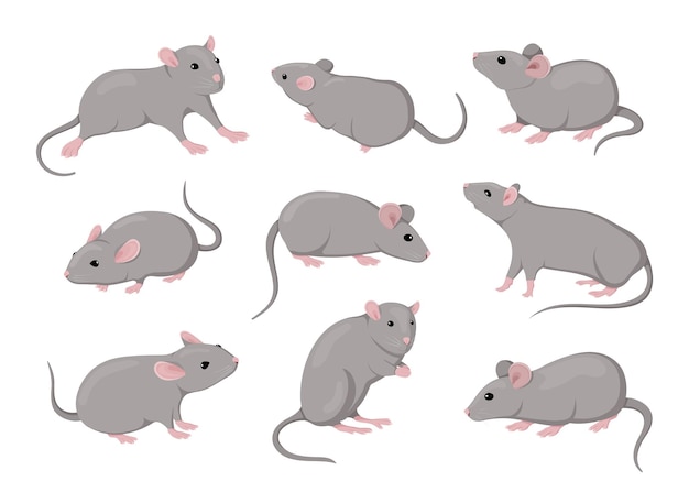 Mouse and rat isolated mice animals set Cute rodent characters in different poses on white background little house pets simple graphic Zodiac creature vector cartoon flat illustration