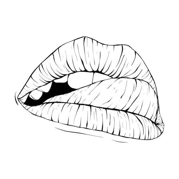 Mouth lips sketch vector illustration line art