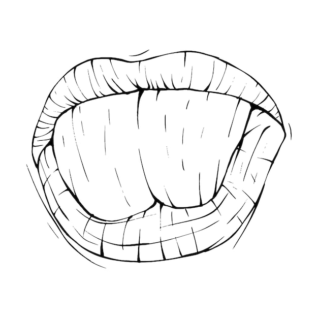 Vector mouth lips sketch vector illustration line art