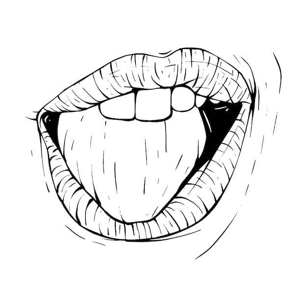 Vector mouth lips sketch vector illustration line art