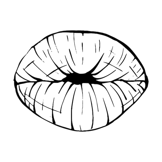 Vector mouth lips sketch vector illustration line art