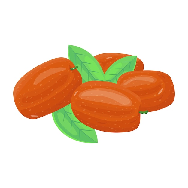 A mouth watering isometric icon of jujube berries