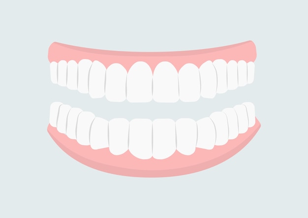 Vector mouth with teeth concept oral hygiene and cleanliness stomatology beautiful smile medical