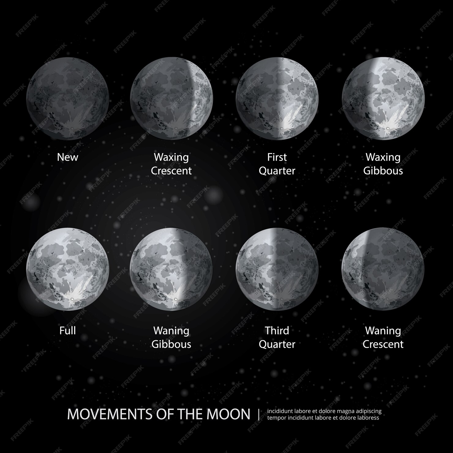 Premium Vector | Movements of the moon phases realistic vector illustration