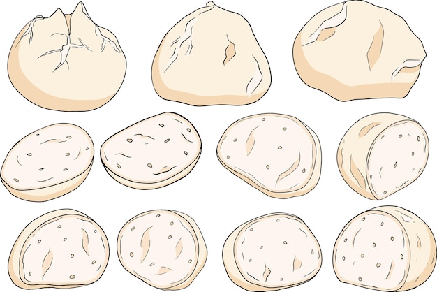 Mozzarella cheese ball slice and pieces fresh soft cheese vector illustration