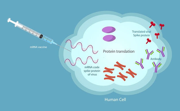 MRNA 백신 SASCov2 벡터 텍스처