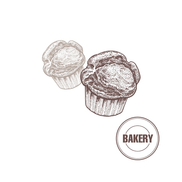 Vector muffin vintage graphics.