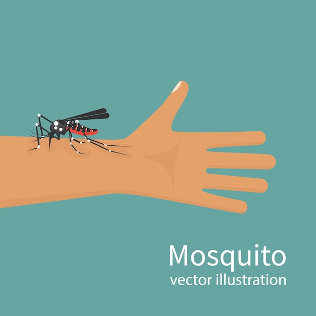 Vector muggenbeet op huid hand menselijk insectenbeten man in arm sjabloon gevaren zika virus drinkt de bloo