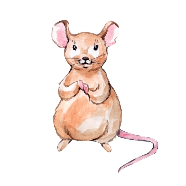 Muis aquarel illustratie