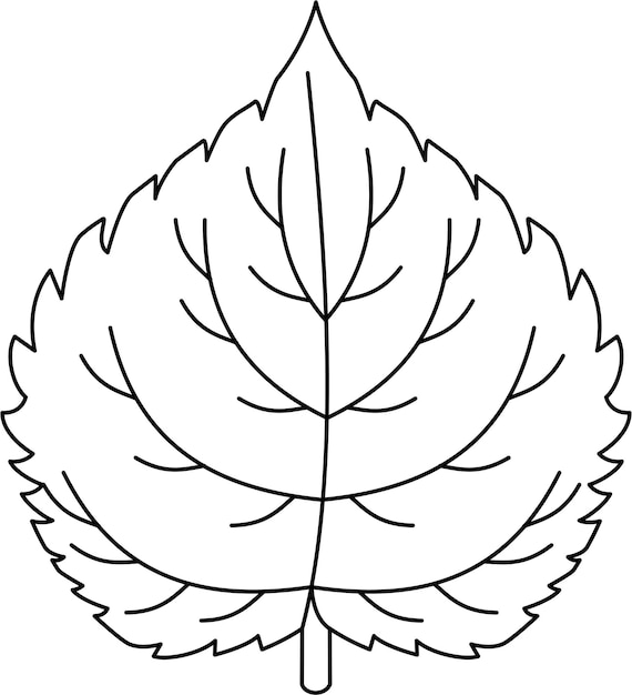 Vector mulberry leaf single vector black and white