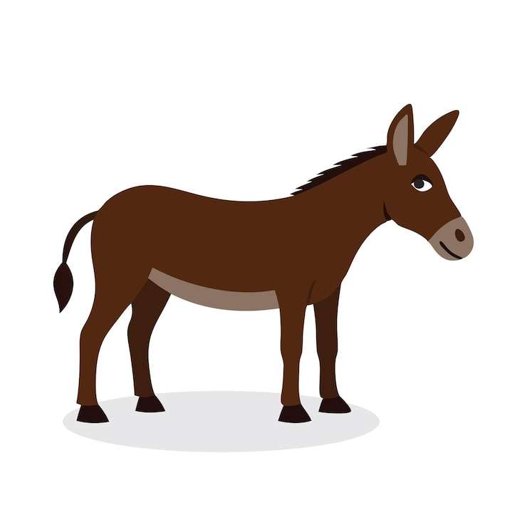 Vector mule animal isolated flat vector illustration on white background
