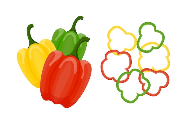 Multicolored bell peppers whole and slices vector set