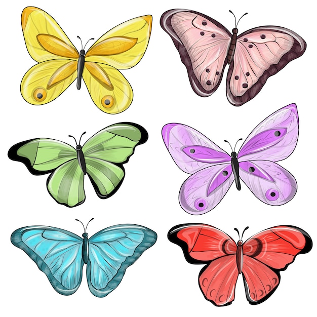 Vector multicolored butterflies.