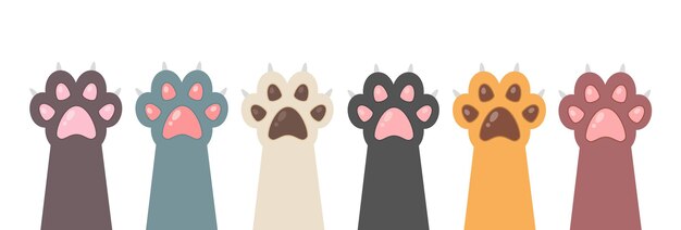 Multicolored cats paws. Cute feline paw in flat style. Animal paw.