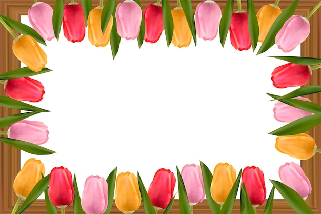 Multicolored tulips over a wooden frame Frame with copy space Concept of mother's day valentine's day women's day Vector image