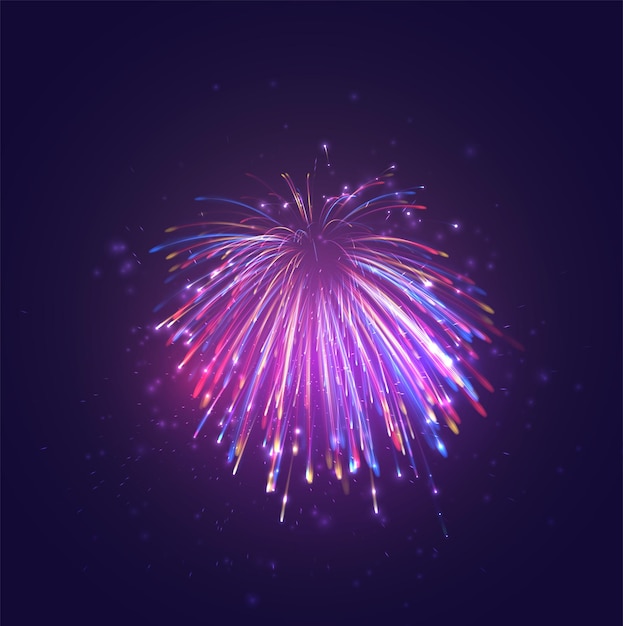 Multicolored vector fireworks, explosion of joy in the sky