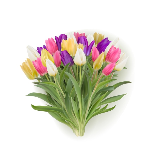 Vettore mazzo multicolore di tulipani realistica illustrazione vettoriale 3d. tulipani gialli, bianchi, rosa, viola