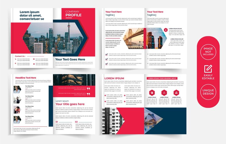 Multipage business brochure template design, annual report, company profile.