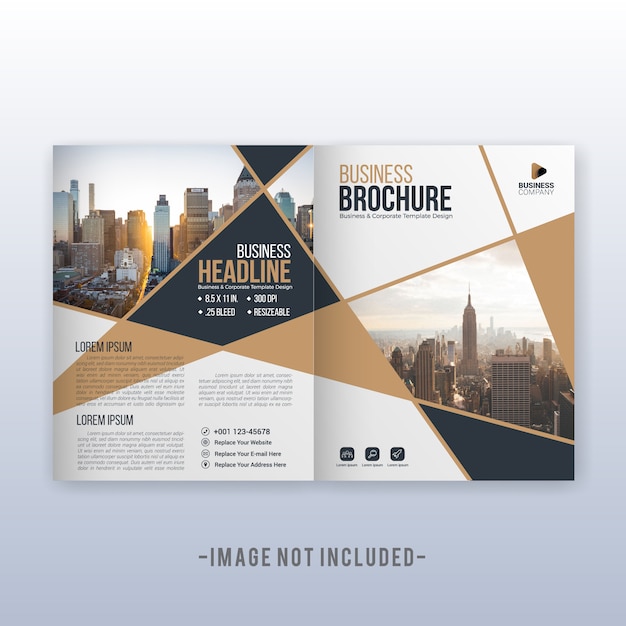 Vector multipurpose modern business cover and flyer template