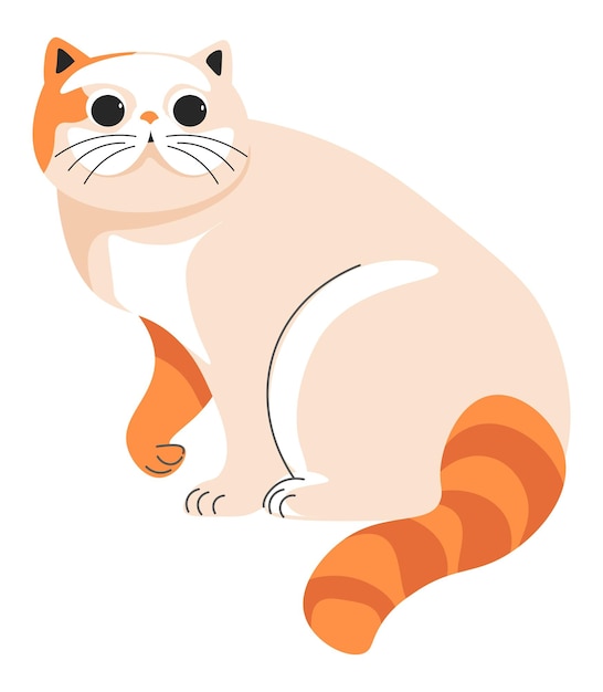 Munchkin cat portrait of feline animal vector