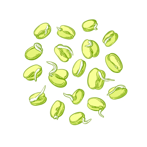 Vector mung sprouts simple sprouting seed drawing vector